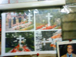 c72416a7.JPG