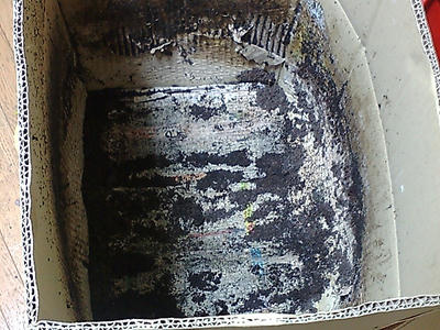 F1000219.JPG