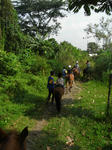 RIMG0156.jpg