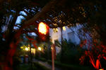 DSC03656.jpg