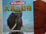 DSC00091.jpg