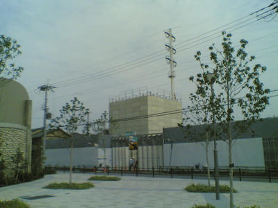 bcde45d7.jpg