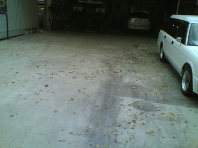 ef11a816jpeg