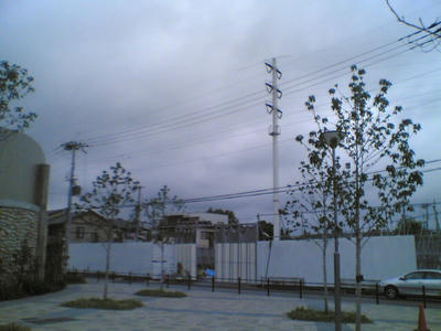20070717.jpg