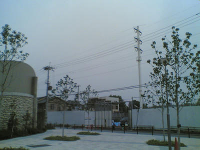 20070726.jpg