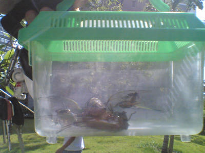 20070727.jpg