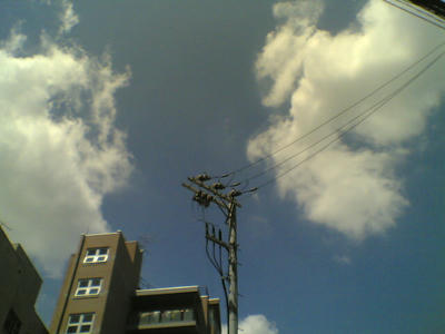 32b9fdd6.jpg