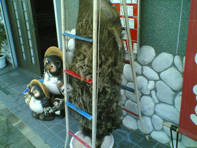 27c35976.jpg