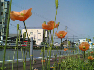 551d29c6jpeg