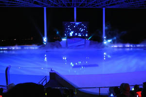 DSC_0993.jpg