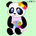 twinkle_pandassyutu.png