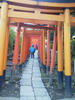 2013nezu.jpg