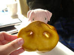 fu0013.jpg