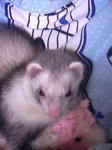 20090628.jpg