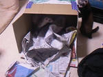fu035.jpg