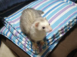 DSC05532.JPG