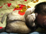 DSC05685.JPG