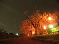 IMG_3294.jpg