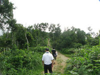 IMG_4167.jpg