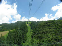 IMG_4191.jpg