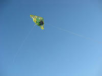 IMG_4945.jpg