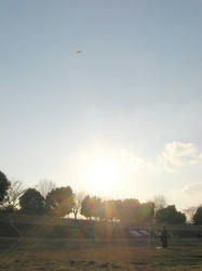 IMG_5002.jpg
