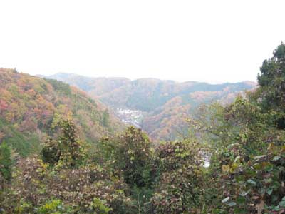 IMG_0203.jpg