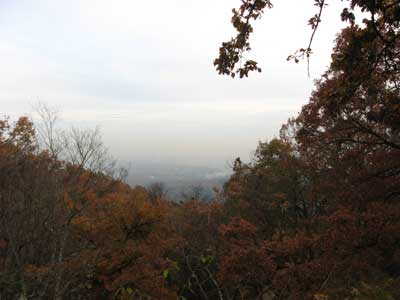 IMG_0225.jpg
