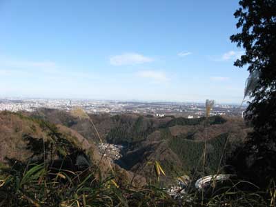 IMG_0494.jpg
