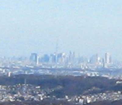 IMG_0494b.jpg