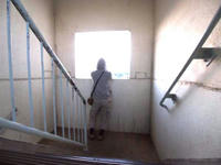 P1010494.jpg