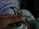 090327na1.jpg