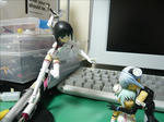 090523na6.jpg