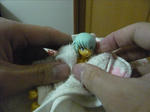 100111na27.jpg