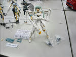 100207na73.jpg