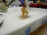 100207na123.jpg