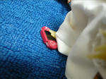100814na6.jpg