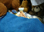 110102na2.jpg