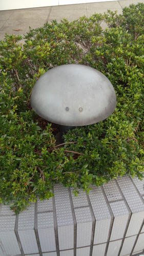 DCIM0417.JPG