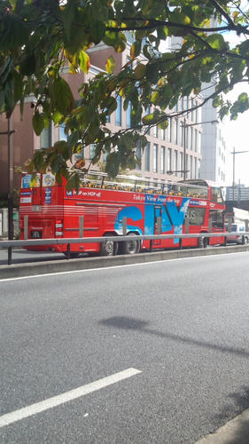 DCIM0468.JPG