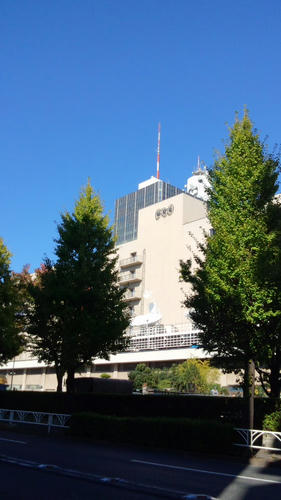 DCIM0533.JPG