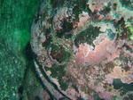 20070830_004.JPG