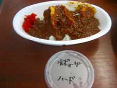 57a859dbjpeg