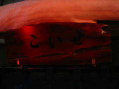 IMG_5351.jpg