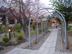 IMG_5728.jpg