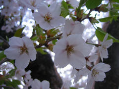 IMG_5732.jpg