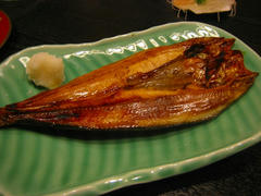 IMG_6459.jpg