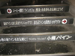 IMG_6471.jpg