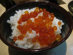 IMG_7186.jpg