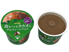 明治 森をつくるカカオのチョコレートアイス